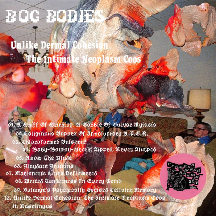 Bog Bodies — Photo
