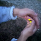 andres thumbnail