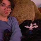 Stevie thumbnail