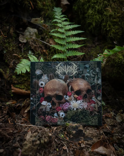 邦楽 memento mori Memento Mori - Single by Latzen | Spotify