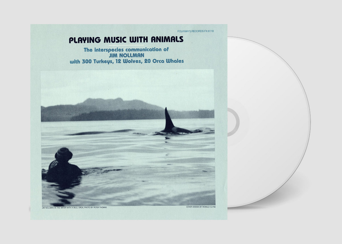 Playing Music with Animals | Jim Nollman