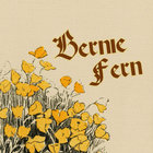 bernie-fern thumbnail