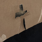 cudelice thumbnail