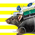 Bionicrat thumbnail