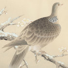 PigeonChild thumbnail