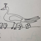 saguaro_dan thumbnail