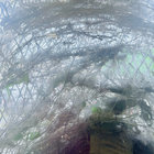 Ryan Daley thumbnail
