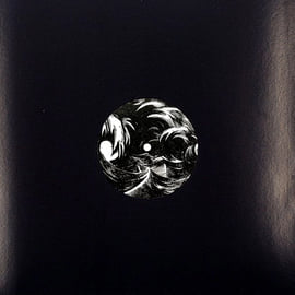 12" Vinyl, image 4
