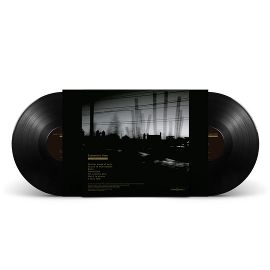 Insomniac Doze - Anniversary Edition | Envy