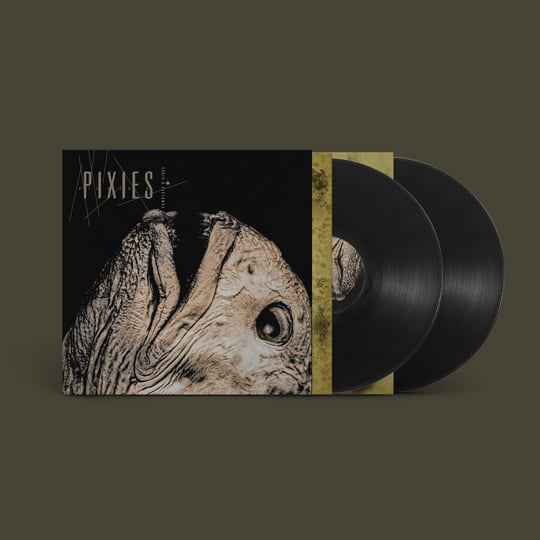 Pixies MFSL SACD ３タイトルセット 限定盤 2 Pixies masterpieces on MFSL SACD. Purchased in 2013, currently