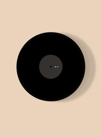 vinyl 12", image 2