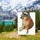 Forty301 thumbnail