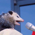 tlardner thumbnail