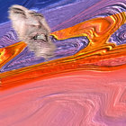 jakobbakkevoll thumbnail