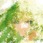 Lycraea thumbnail