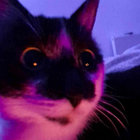 paranoid_schizo thumbnail