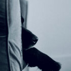 Aki.S thumbnail