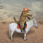 sir dingus thumbnail