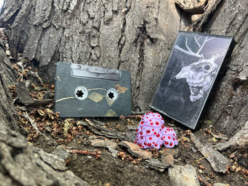 Birch Papered Cassette with Goop, image 1