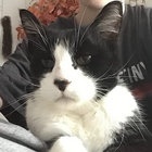 dmsizemore thumbnail