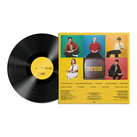 PRE-ORDER // LP, image 2