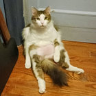 triciakitty thumbnail