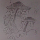 kabute thumbnail