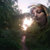 wuwei thumbnail