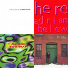 The Acoustic Adrian Belew | Adrian Belew