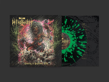 Limited Edition 12" Vinyl, image 1