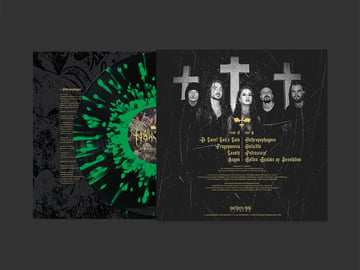 Limited Edition 12" Vinyl, image 2