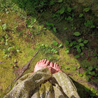 loveinthegrass thumbnail