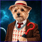 Joe Cericola thumbnail