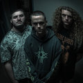 Brotality photo
