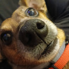 sp0tless thumbnail
