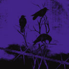 seal danger thumbnail