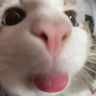 arashi566 thumbnail