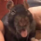 mercilesssavage666 thumbnail
