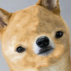 annotationsofwar thumbnail