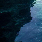 Blue cat thumbnail