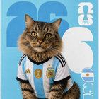 jorivera83 thumbnail