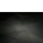 wwooddzz thumbnail