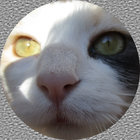 Luis_Millape thumbnail