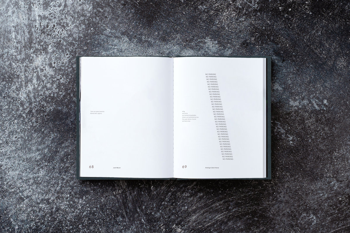 Repair 22,000,000 | Josh Mason