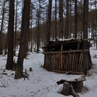 Montan Gautier thumbnail