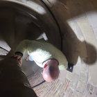 Hans Ravensbergen thumbnail