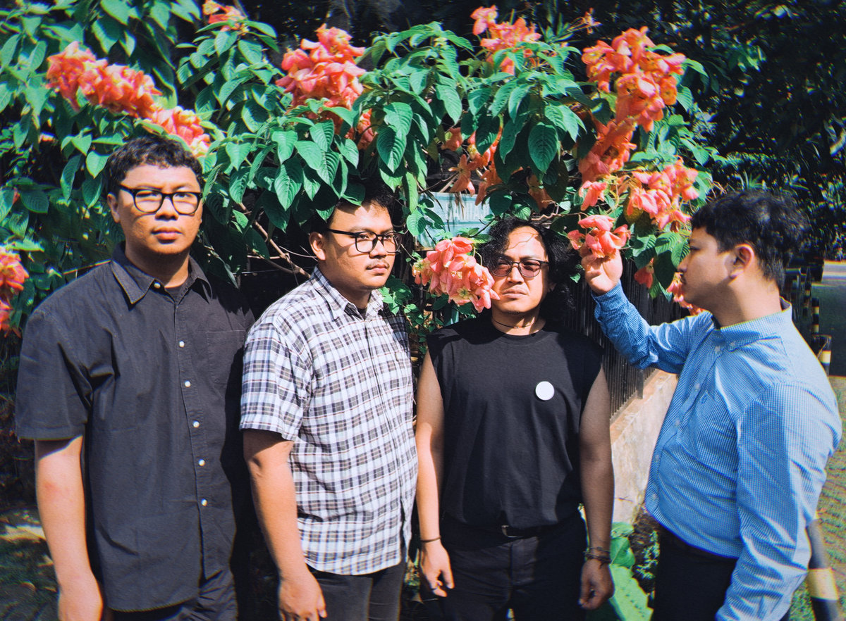 Protense Pale Season | Protense