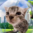 johnhippopotamus thumbnail