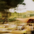youngmarkov thumbnail