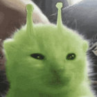 Alex thumbnail